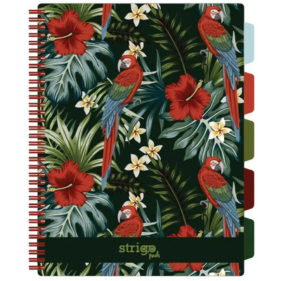 Caiet cu spirala si separatoare, STRIGO PADS Project Book TROPICAL, B5, Matematica