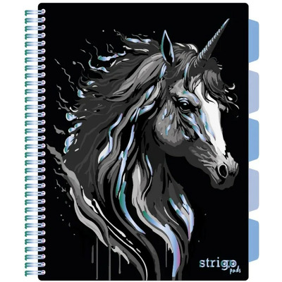 Caiet cu spirala si separatoare, STRIGO PADS Project Book UNICORN, B5, Matematica