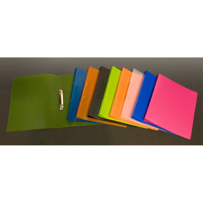 Caiet mecanic 2 inele - D16mm, coperti flexibile PP, Aurora - transparent color asortate