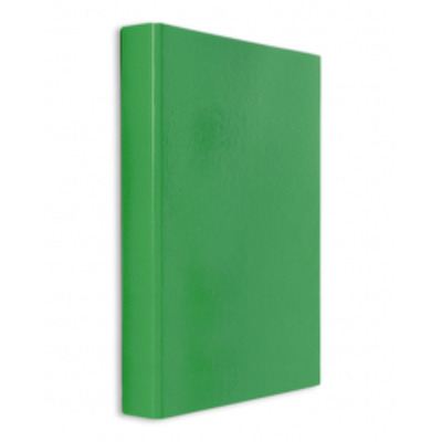 Caiet mecanic plastifiat 2 inele A4 verde, Daco