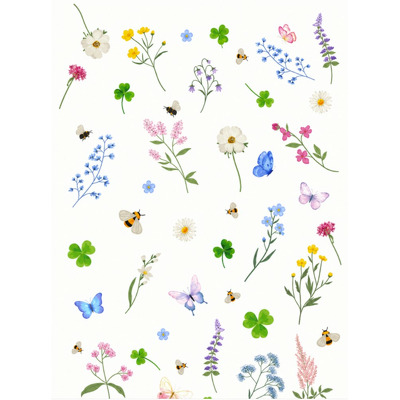 Caiet scolar STRIGO NATURE, A5, dictando, 48 file, hartie 70g FSC, coperta glossy laminate