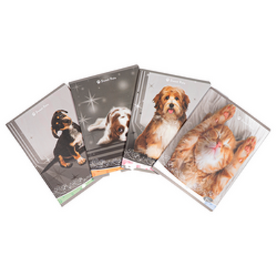 Caiet TIP 2, pentru exersarea scrisului cu 36 file, hartie 80 g/m2