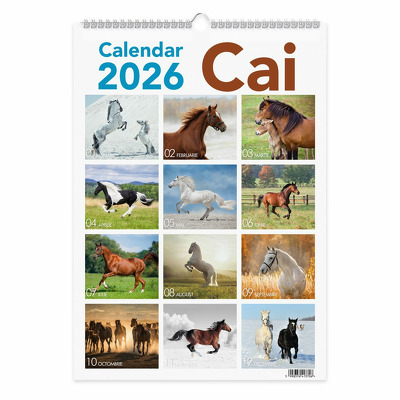 Calendar 2026 Cai