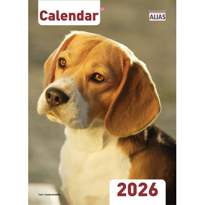 Calendar capsat 2026 format A4 cu 16 file. Caini