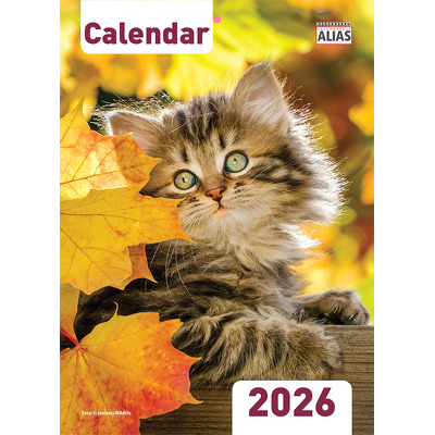 Calendar capsat 2026 format A4 cu 16 file. Pisici