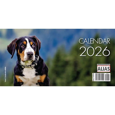 Calendar de birou 2026 cu 6 file. Caine