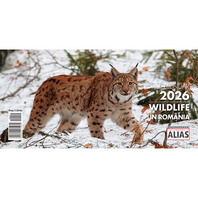 Calendar de birou 2026 cu 6 file. Wildlife