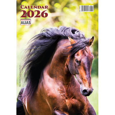 Calendar de perete 2026 cu 12 file. Cai