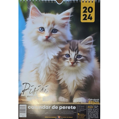 Calendar de perete X4, 2024. Pisici mari si mici