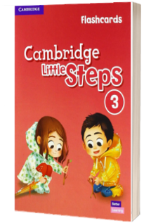 Cambridge Little Steps Level 3 Flashcards American English