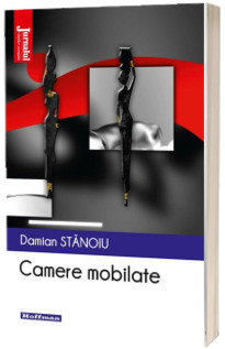 Camere mobilate - Damian Stanoiu, editia 2020