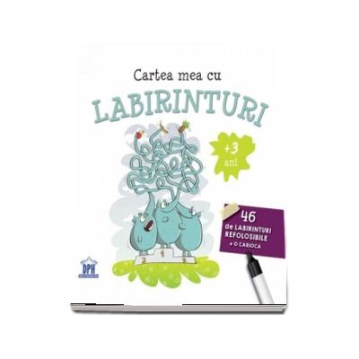 Carte mea cu labirinturi.