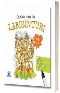 Cartea mea cu labirinturi - 46 de labirinturi refolosibile   o carioca