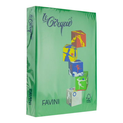Carton A3 color 160g/mp 107 Verde deschis FAVINI