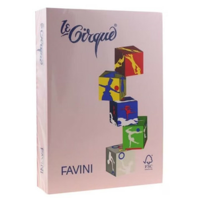 Carton A3 color 160g/mp 108 roz FAVINI