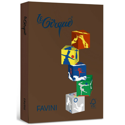 Carton color A4 Maro ciocolata 301