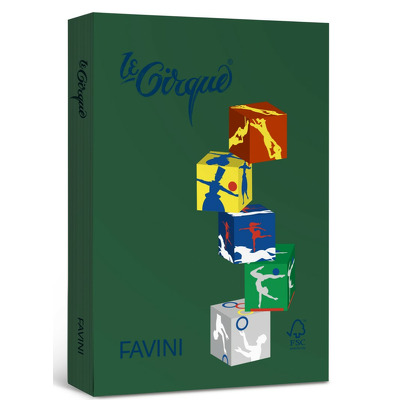 Carton color A4 Verde Christmas 304