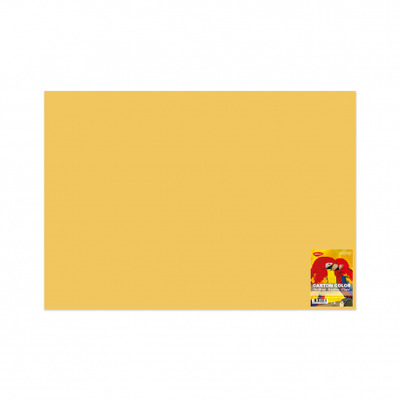 Carton color CN271G 270G/MP 70X100 10 coli