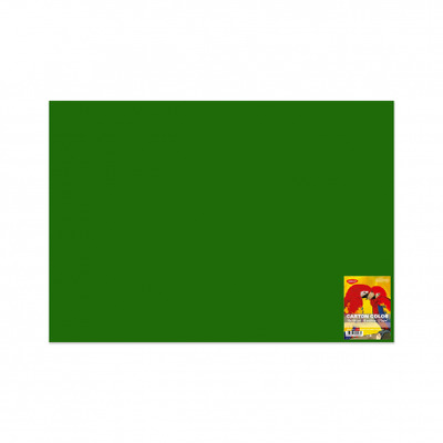 Carton color CN271V 270G/MP 70X100 10 coli