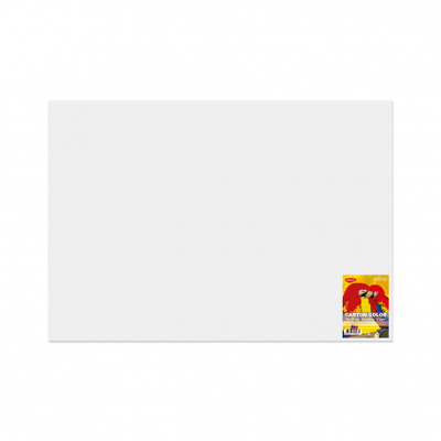 Carton color CN271W 270G/MP 70X100 10 coli