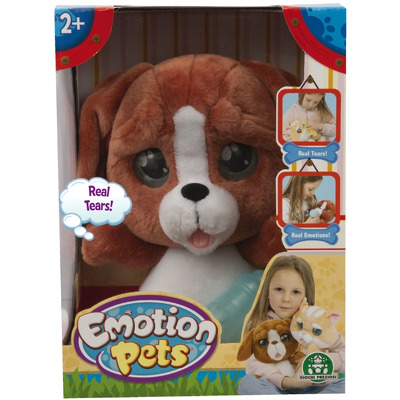 Catel plus maro Emotion Pets cu lacrimi
