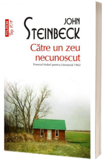 Catre un zeu necunoscut