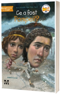 Ce a fost Pompeii?