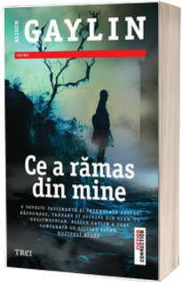 Ce a ramas din mine - Alison Gaylin