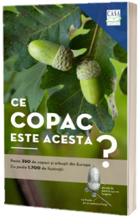 Ce copac este acesta?