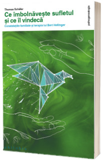 Ce imbolnaveste sufletul si ce il vindeca