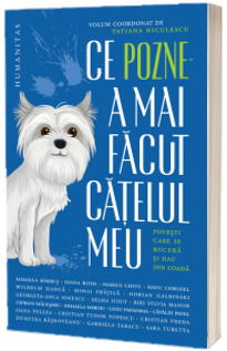 Ce pozne-a mai facut catelul meu