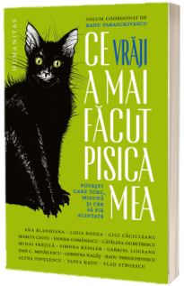 Ce vraji a mai facut pisica mea