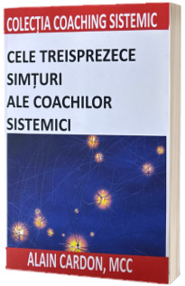 Cele treisprezece simturi ale coachilor sistemici