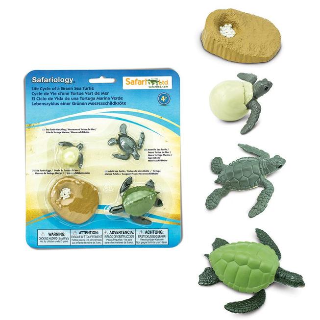 Ciclul vietii la testoasa de mare set figurine educative