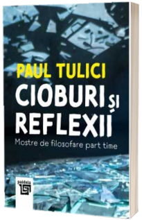 Cioburi si reflexii. Mostre de filosofare part time
