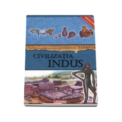 Civilizatia Indus