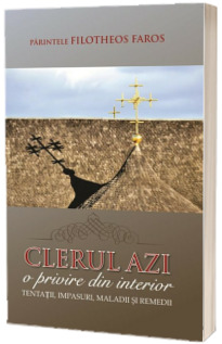 Clerul azi. O privire din interior