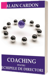 COACHING pentru echipele de directori