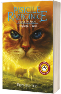 Codul Incalcat. Dezghetul Tacut