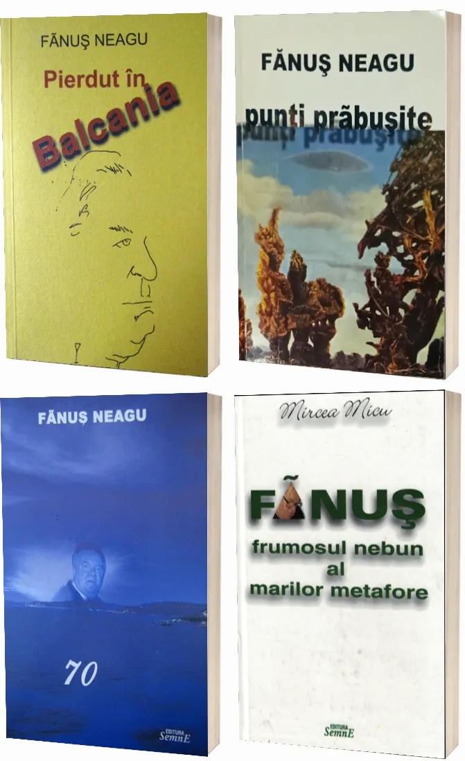 Colectia Fanus Neagu 70