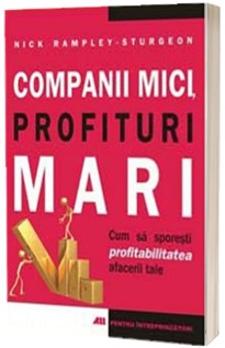 Companii mici, profituri mari