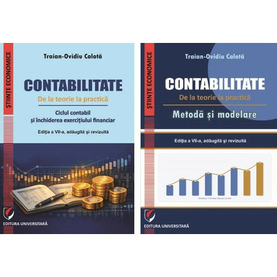 Contabilitate. De la teorie la practica