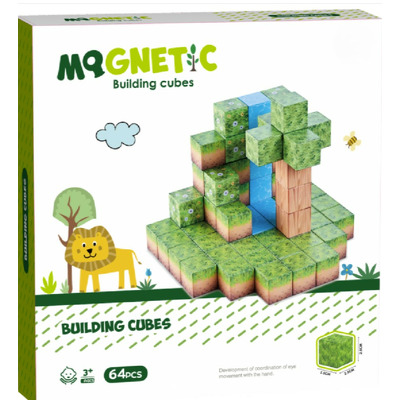 Cuburi magnetice - In natura 64 piese (2.5 cm)