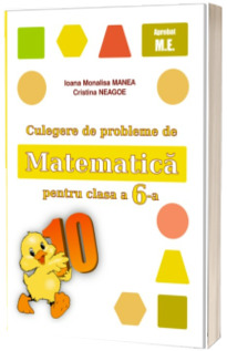 Culegere de probleme de matematica pentru clasa a 6-a (puisorul)