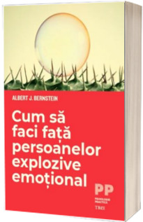 Cum sa faci fata persoanelor explozive emotional
