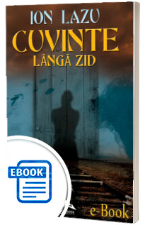 Cuvinte langa zid