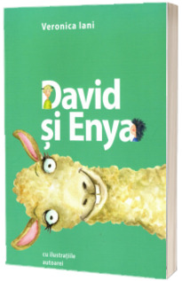 David si Enya