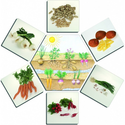 De unde provin alimentele