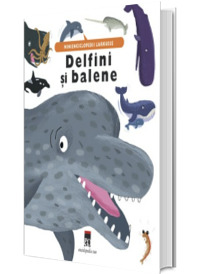 Delfini si balene