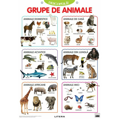 Descopera! Grupe de animale (planse educationale)